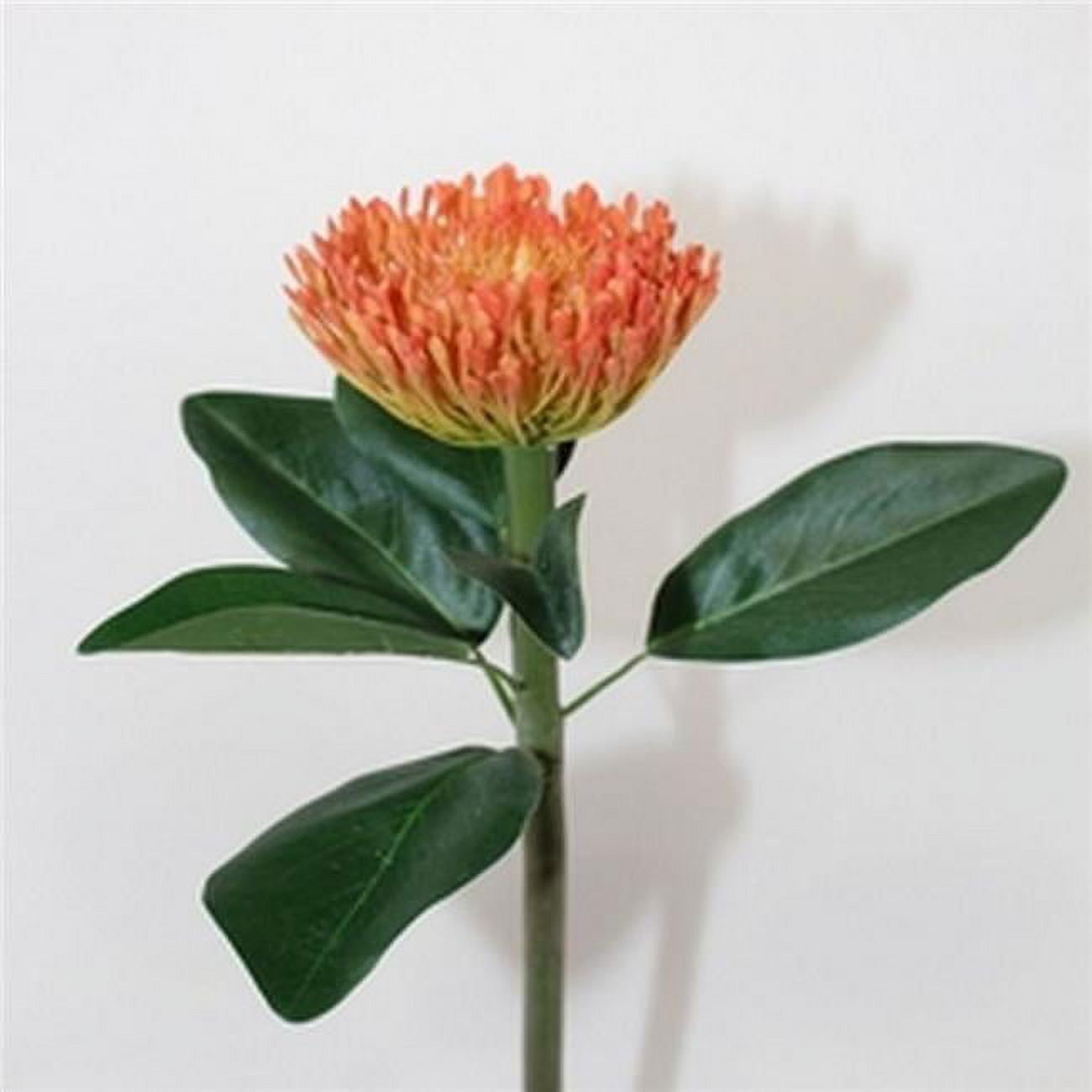 27 in. Orange Protea Stem Artificial Flowers