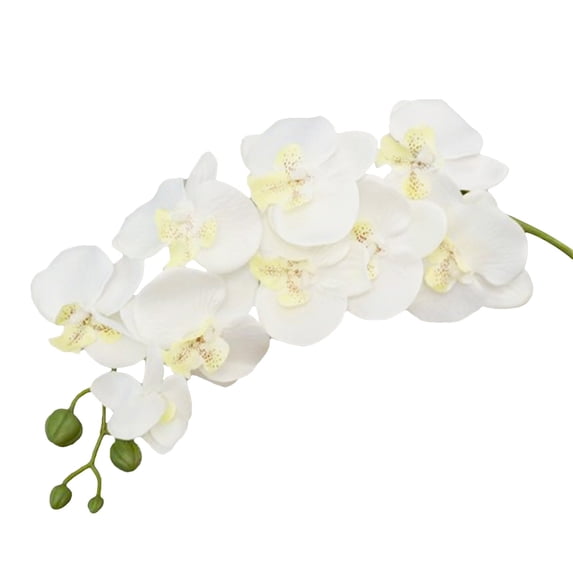 27 inch Artificial Orchid Stem Faux Phalaenopsis Flower Bouquet for Tall Vase Arrangement Home Wedding Party Elegant Decor Display White