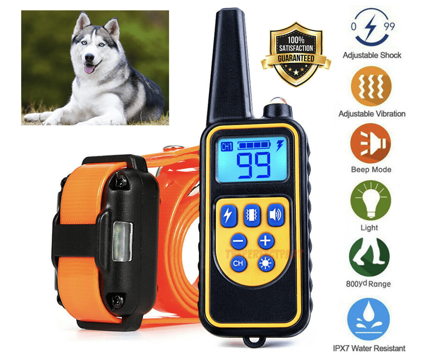 pet trainer remote