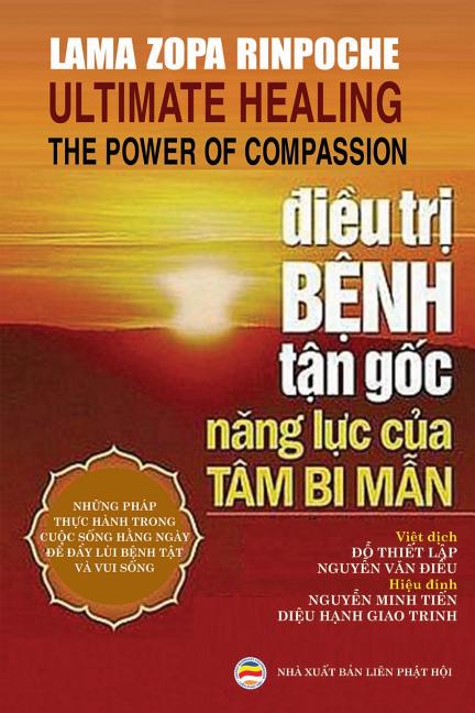 &#272;i&#7873;u tr&#7883; b&#7879;nh t&#7853;n g&#7889;c: N&#259;ng l&#7921;c c&#7911;a tâm bi m&#7851;n (Paperback) - image 1 of 1