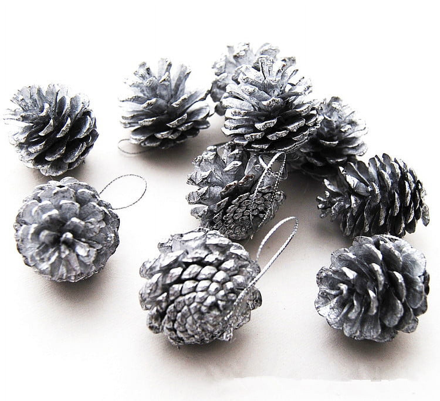 Yahpetes 6 Pcs Christmas Pine Cones 1.96 Snow Tipped Natural Pine Cones Wood Frosted Pine Cone Ornaments for Decorating and Designing (6 Pcs)
