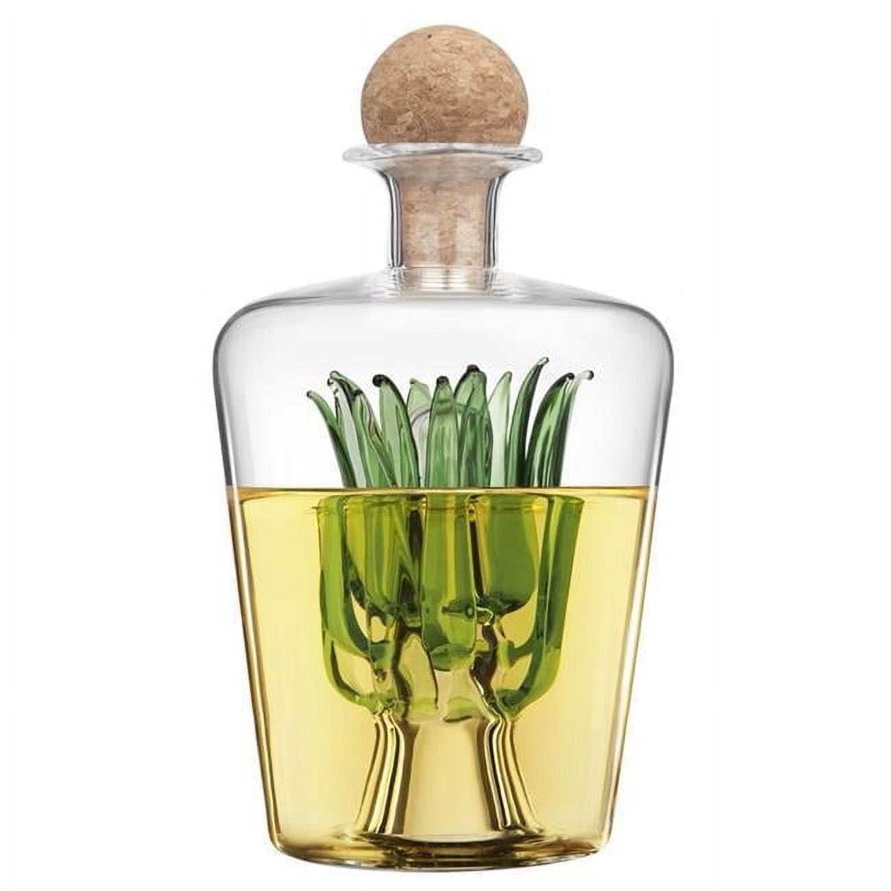 28.7 oz Glass Tequila Decanter, Clear