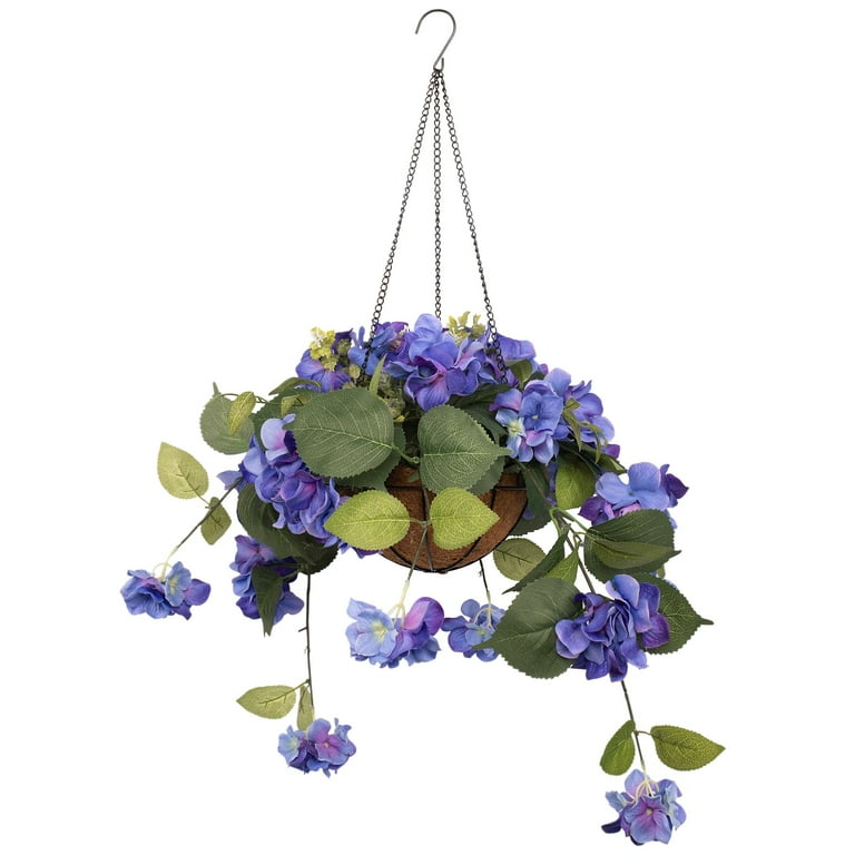 Hydrangea Hanging Basket
