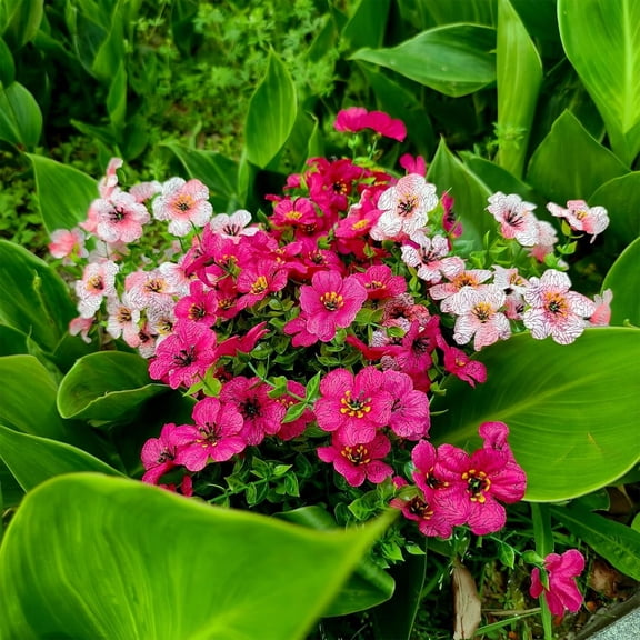 28 Bundles Silk Fake Plants Faux Flowers Resistant Fake Bushes Plastic Artificial Flowers Faux Outdoor Indoor Plants for Spring Summer Decoration (7 Colors)