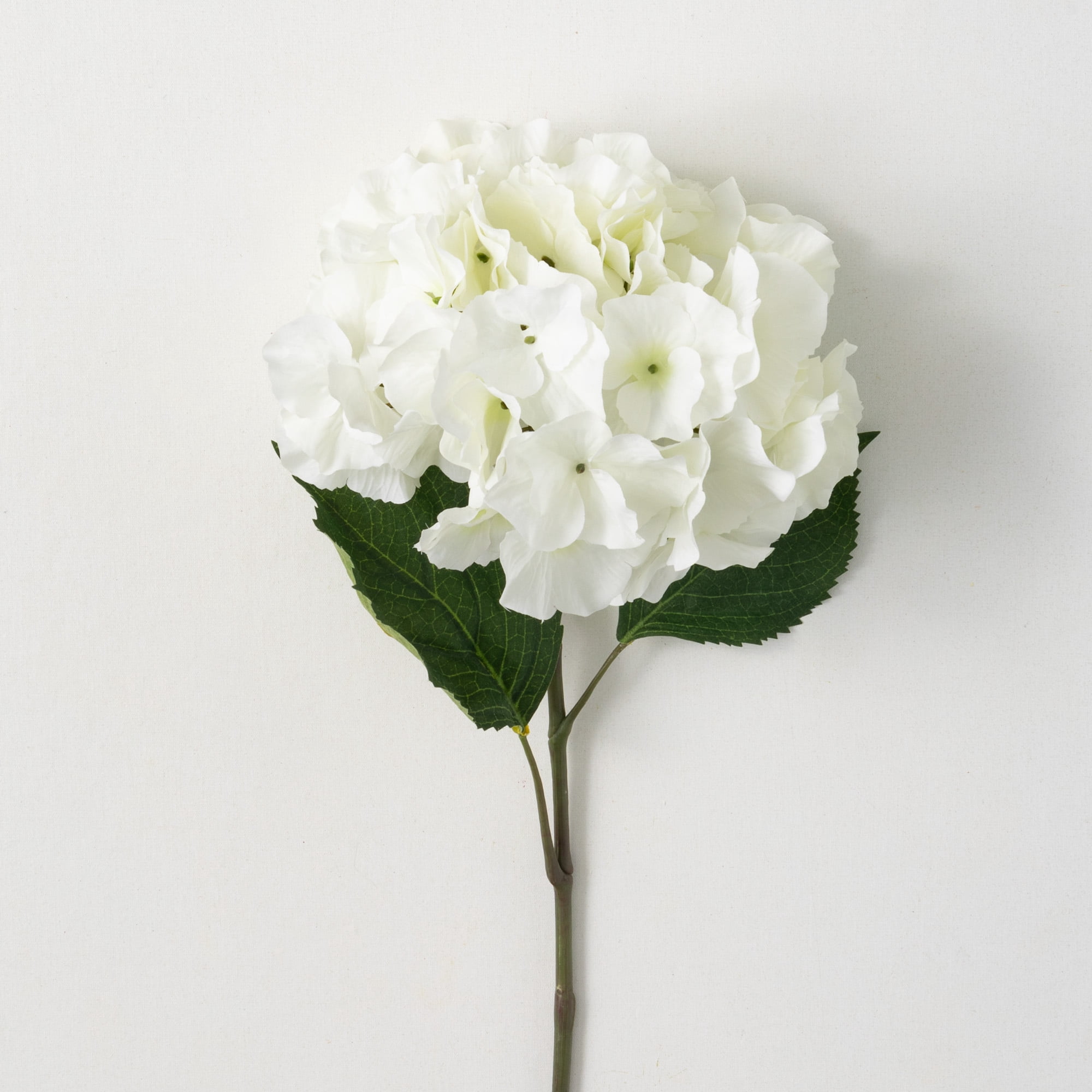 28"H Sullivans Cottage Cream Hydrangea Bloom, Cream