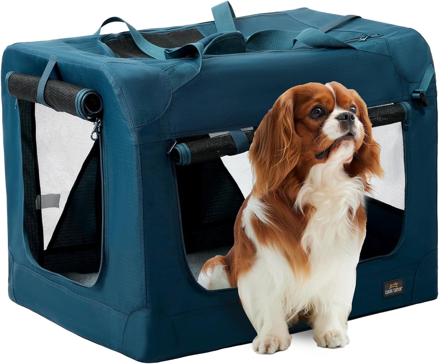Best Portable Dog Crates For Large Dogs | TAFT Independent