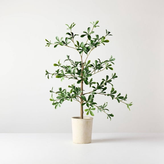 28" Mini Black Olive Artificial Tree