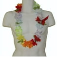 thumbnail image 1 of #28 Rainbow, Simple Lei, 1 of 2