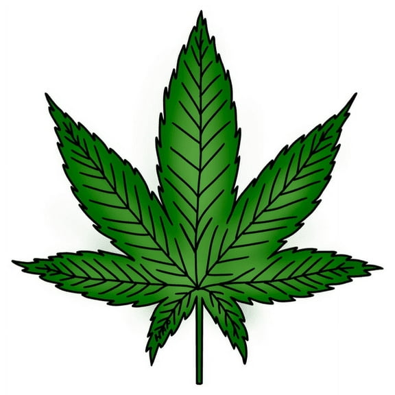 Mary Jane Hemp Leaf Plant 36" high ylar Clear Film Balloon