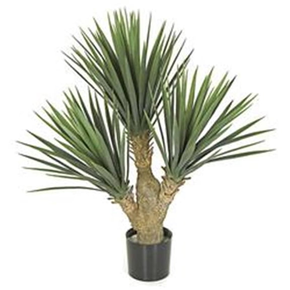 28 in. Baby Yucca Plant - Green