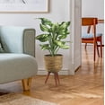 thumbnail image 1 of LCG Florals Artificial Plant, Faux Designer Hosta Plant, 28in, Modern Brown Basket Stand, Artificial Indoor Plant for Living Room, Office, & Home Décor, 1 of 8