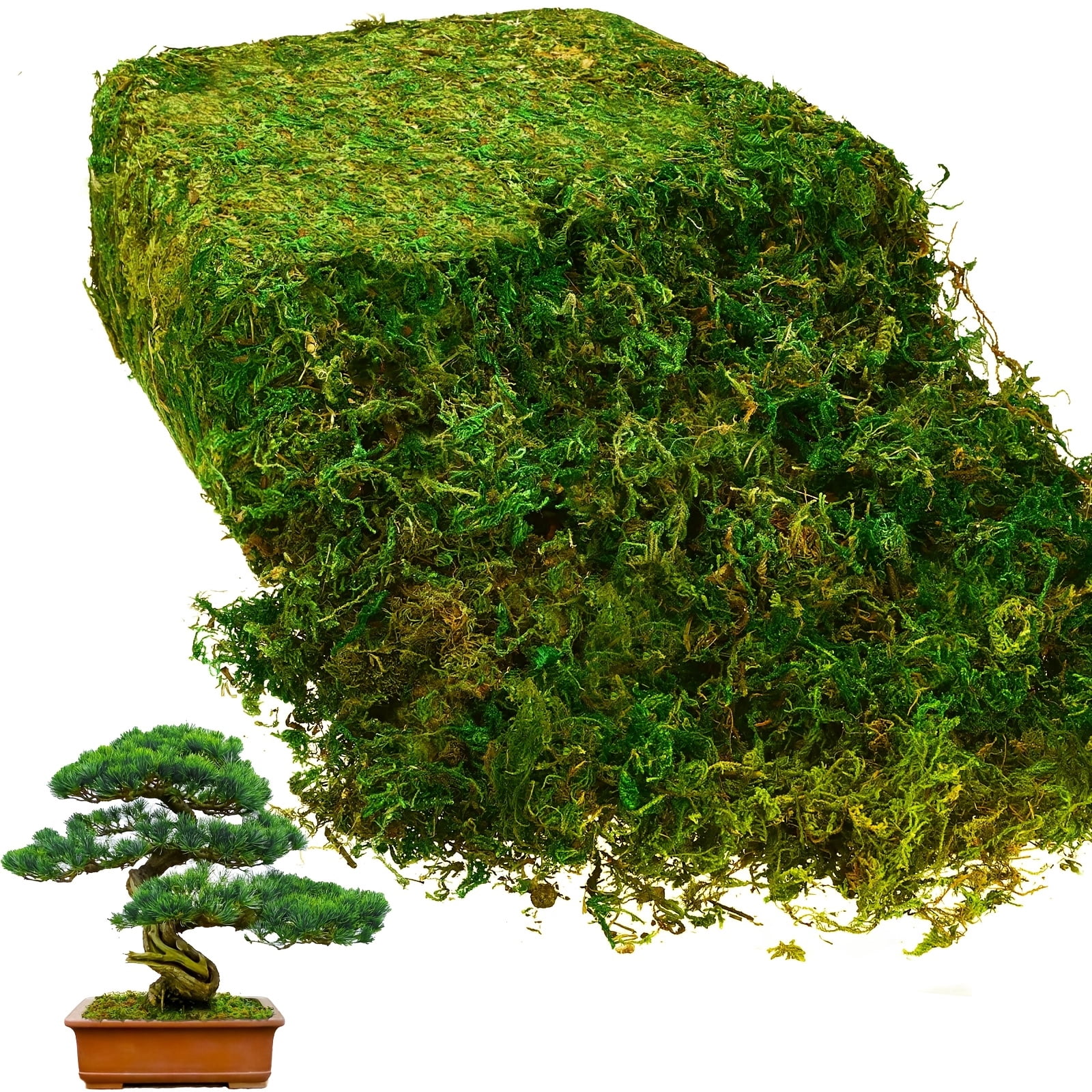 28 oz Artificial Green Moss for Crafts, Decorative Fake Moss Bulk for Terrarium Planters Floral Arrangements, Preserved Style Moss for Wedding Decor DIY Garden Landscaping