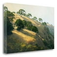 thumbnail image 1 of 28" x 19" Afternoon Shadows by Kathy Oleary - Print on Canvas Fabric Multi-Color, 1 of 3