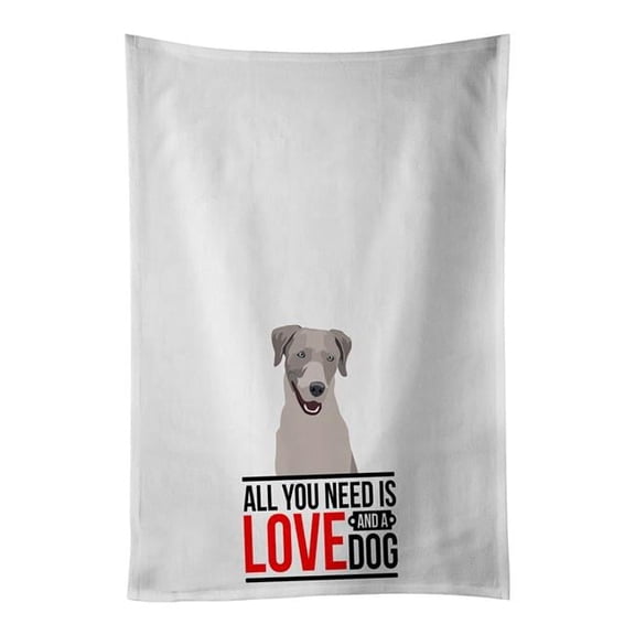 28 x 19 in. Unisex Labrador Retriever Gray White Dish Towels Kitchen Towel - Set of 2