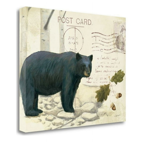 28" x 22" Northern Wild IV by James Wiens - Print On Canvas Fabric Multi-Color