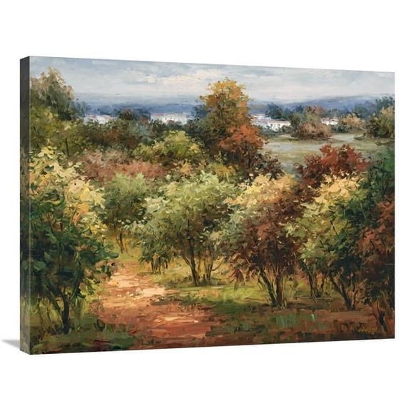 28 x 35 in. Sun Dappled Country Road Art Print - Hulsey