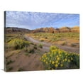 thumbnail image 1 of 28 x 35 in. Wildflowers Growing Along Dirt Road, Temple of the Moon, Capitol Reef National Park, Utah Art Print - Tim Fitzharris, 1 of 1
