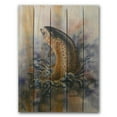 thumbnail image 1 of 28 x 36 Fish On Inside & Outside Full Color Cedar Wall Art, 1 of 1