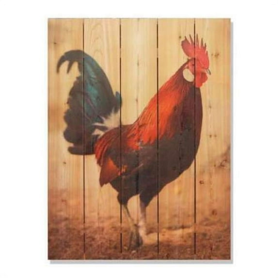 28 x 36 in. Colorful Rooster Inside & Outside Cedar Wall Art