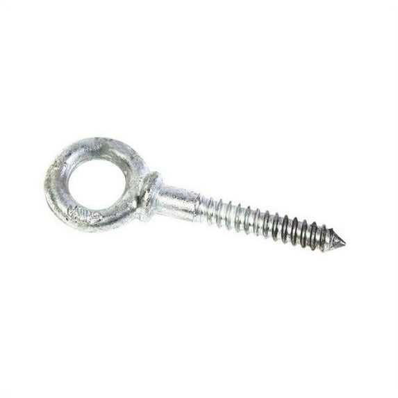28038 0.37 x 2.5 in. Eyebolt