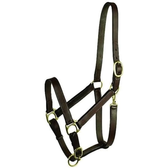 282987 Stable Halter with Snap Havanna Brown, Horse$$Sport & Recreation Other