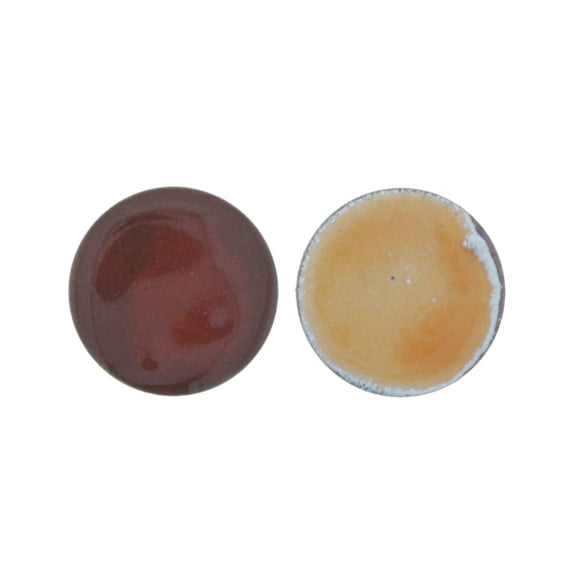 2837 Orange Thompson Transparent Enamel 2 Ounce
