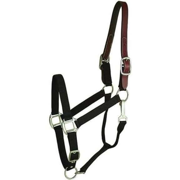 284041 Nylon Breakaway Halter Black, Cobb$$Sport & Recreation Other