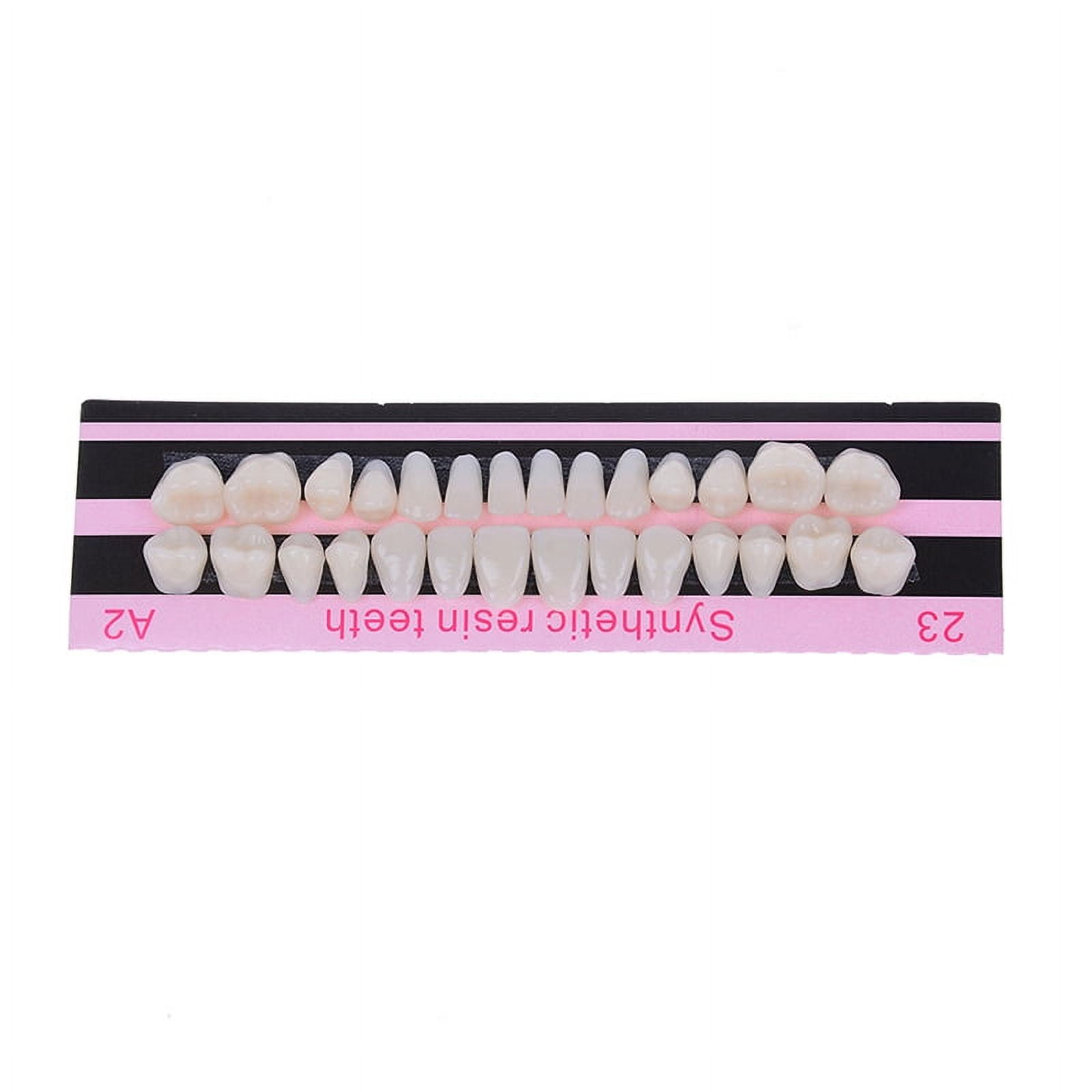 28Pc 1set denture acrylic resin full set teeth upper lower shade 23# A2 dental