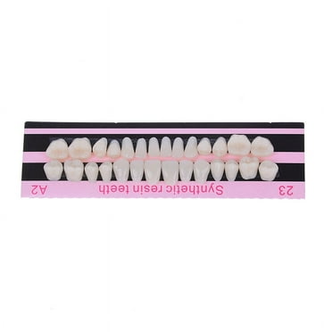 28Pc 1set denture acrylic resin full set teeth upper lower shade 23# A2 dental