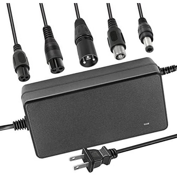 29.4V 42V 54.6V 58.8V 67.2V 84V 96.6V Li-ion Battery Charger Multiple Plugs?