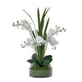 thumbnail image 1 of 29.5" White Orchid Arrangement in a Glass Vase| Real Touch White Moth Phalaenopsis Orchids by Fiori Sempre, 1 of 7
