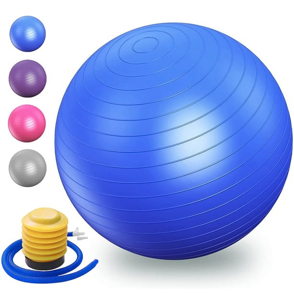 29.6 Inch Thick Yoga Ball Chair Exercise Ball Extra, Heavy Duty