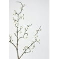 thumbnail image 1 of 29" Faux Iced White Berry Stem, 1 of 5