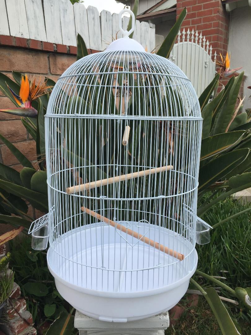 Perch Factory | Manzanita Perch - Natural Wood Perches for Birds - Handcrafted Aviary With Round Perches