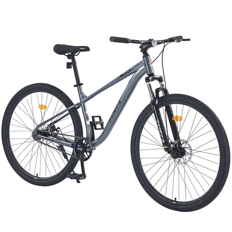LuckyNote 29 Inch Single Speed Mountain Bike, Steel Frame, Front