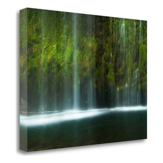 29" x 22" Paradise by Natalie Mikaels - Print On Canvas Fabric Multi-Color