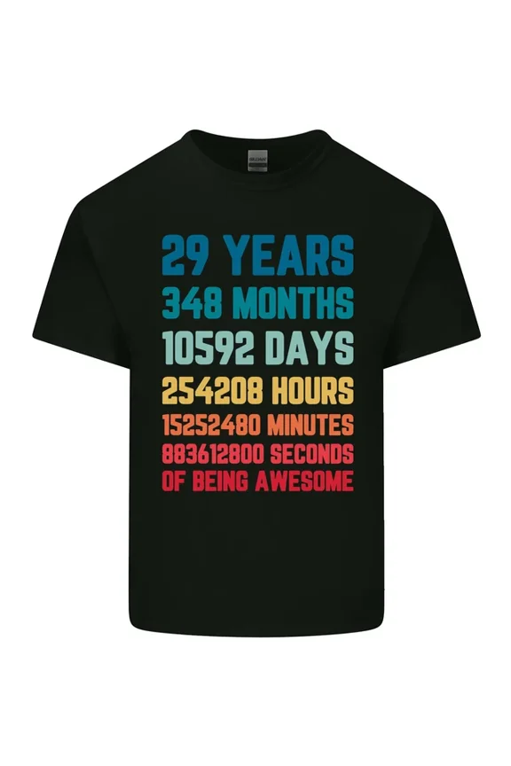 29Th Birthday 29 Year Old T-Shirt