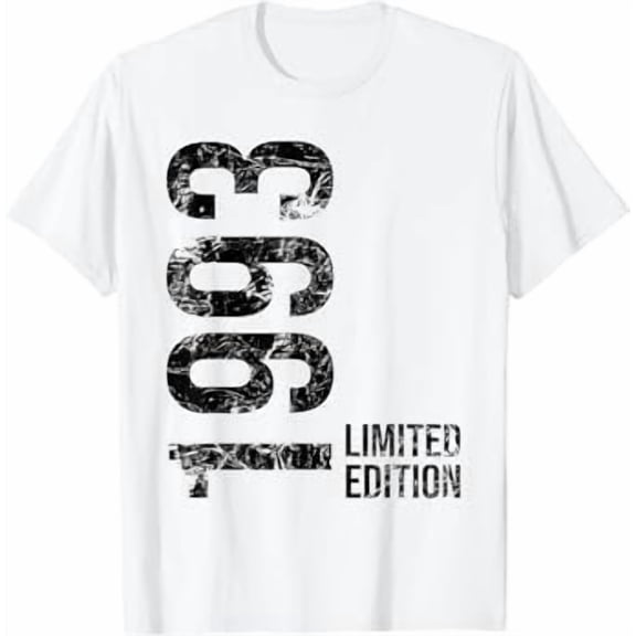 29th Birthday 29 Years Man Woman Retro Vintage 1993 Gift T-Shirt