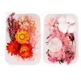 thumbnail image 1 of 2Box Dried Flowers for Resin Jewelry molds for DIY Crafts Nail Art Candle Soap Making Phone Case Jewelry Pendant Floral Decorsstyle:style4;, 1 of 5