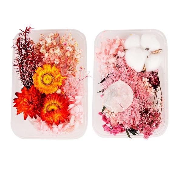 2Box Dried Flowers for Resin Jewelry molds for DIY Crafts Nail Art Candle Soap Making Phone Case Jewelry Pendant Floral Decorsstyle:style4;