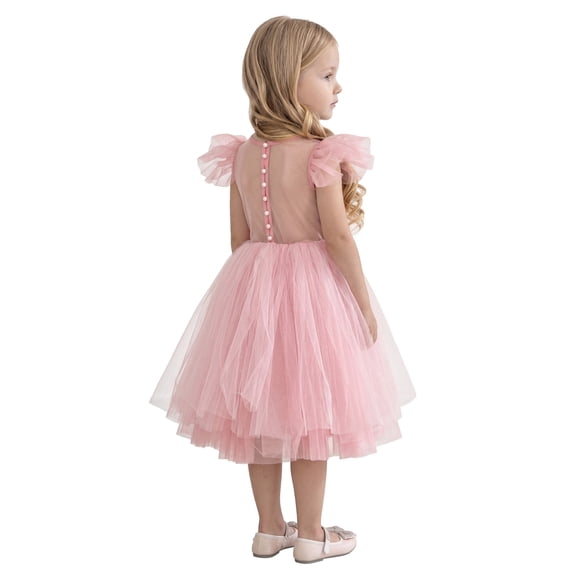 2Bunnies Girls' 12M-10yr Sheer Back Mesh Backless Tulle Girl Dress