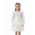 thumbnail image 1 of 2Bunnies Girls' 2T-10yr Organza Long Sleeve Tiered Babydoll Skater Princess Flower Girl Dress, 1 of 7