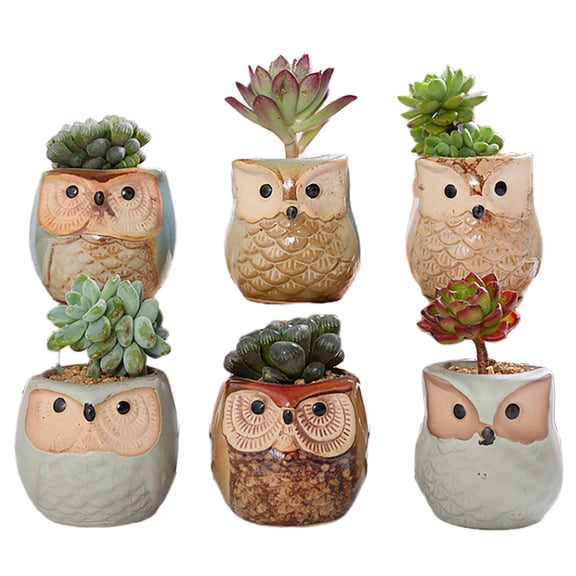 2CFUN 2.5 Inch Owl Ceramic Succulent Flower pots Pack of 6