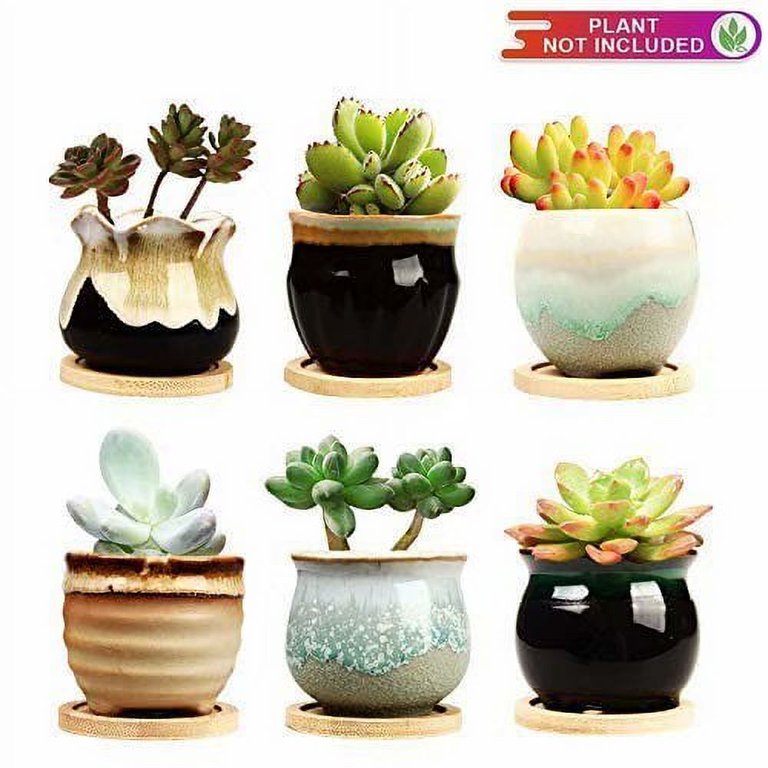 Set of 2 Plants Pot, 6 Inch Ceramic Planter Pot for Plants with