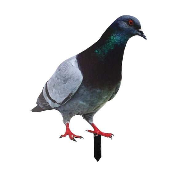 2D Acrylic Garden Pigeon Statue Wild Pigeon Sculpture For Garden Yard Decoration Farm Card Simulation Pigeon Model Figurine Bird A Smile Home