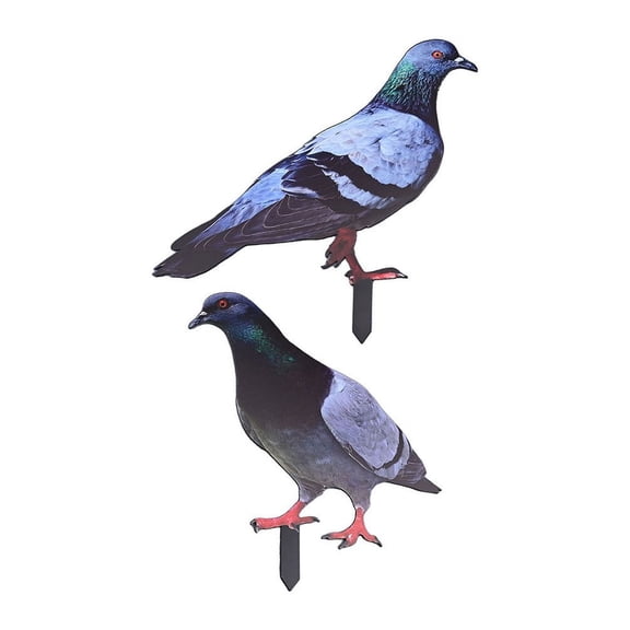 2D Acrylic Garden Pigeon Statue Wild Pigeon Sculpture For Garden Yard Decoration Farm Card Simulation Pigeon Model Figurine Bird