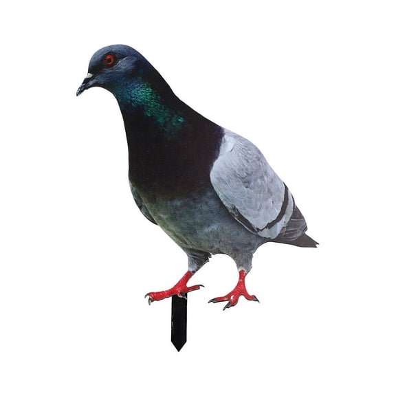 2D Acrylic Garden Pigeon Statue Wild Pigeon Sculpture For Garden Yard Decoration Farm Card Simulation Pigeon Model Figurine Bird