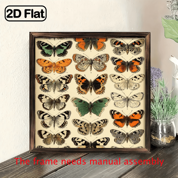 2D Flat 8x8 Inch Framed Wall Art - Vibrant Butterfly Moth Species Illustrations with Scientific Names, Educational Insect Decor for Home, Office, Classroom, Summer Decoration, Butterfly Decor, Off