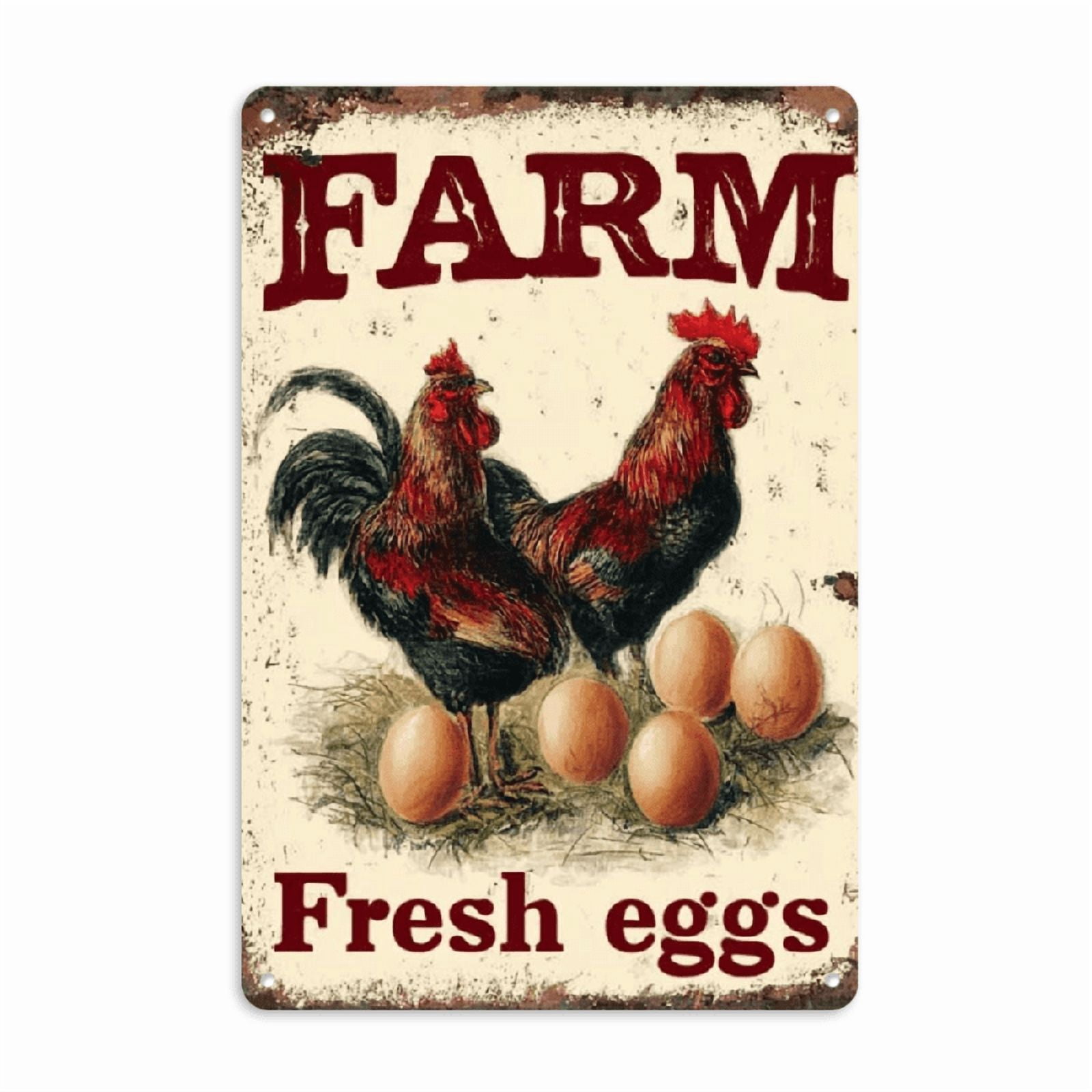2D Flat Metal Chicken Sign Chicken Coop Signs Vintage Tin Signs Funny ...