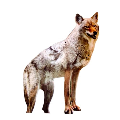 2D Hunting Coyote Predator Decoy - Targets Canada Geese, Deer and Rabbits Deterrent, Yard Ornament